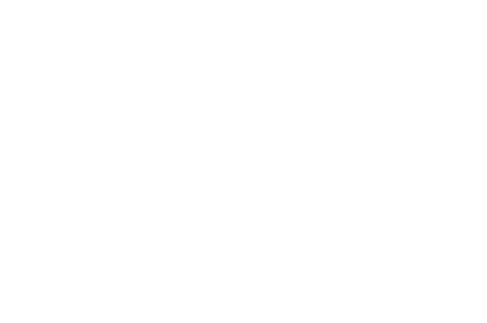 Best Cinematography — New York Film Festival