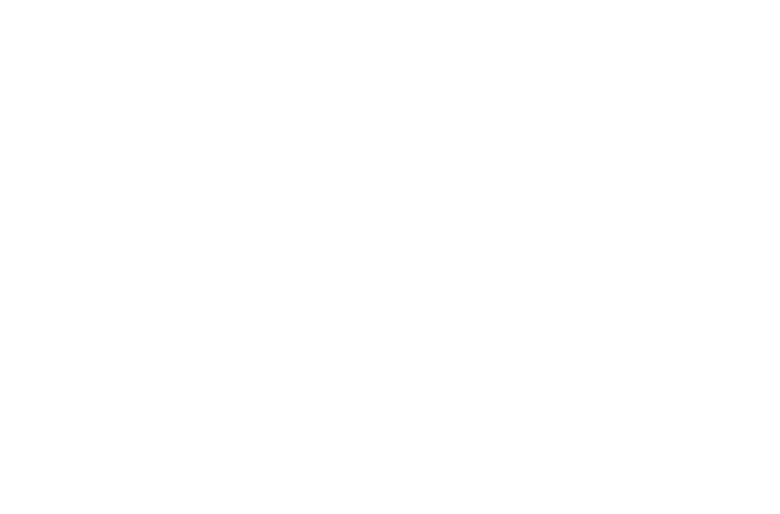 Best Director — Amsterdam Film Festival
