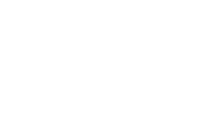 Official Selection — Amsterdam Film Festival