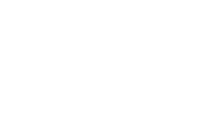 Official Selection — Starlight Film Festival